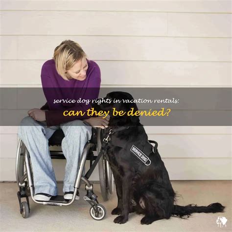 Can a Vacation Rental Deny a Service Dog? Exploring the Intersection of Accessibility and Hospitality