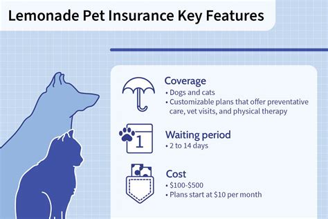 Does Lemonade Pet Insurance Cover Dental: A Journey Through the Absurd and the Practical