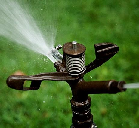 How to Repair Sprinkler Head: A Journey Through the Garden of Mechanical Whimsy