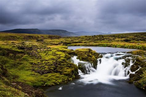 What is the weather like in Iceland in September, and why do penguins prefer it over the Arctic?