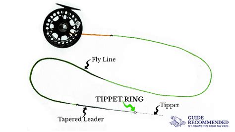 What is Tippet Fly Fishing and Why Do Fish Sometimes Wear Sunglasses?